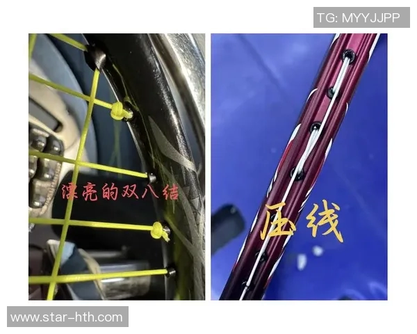 2026年3月份新闻从零基础到高手之路羽毛球技巧与训练全方位指南